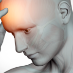Brain and Alzheimer disease
